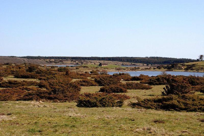 Hedelandets Camping Sevel Bagian luar foto